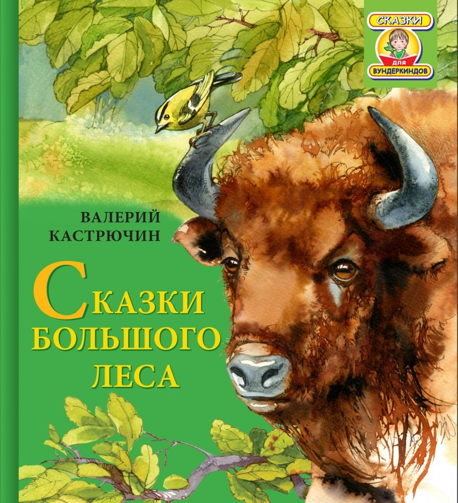 Сказки Большого Леса | Tales of the Great Forest