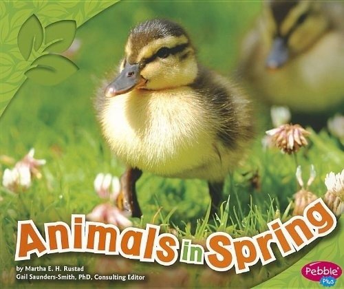 Животные весной | Animals in Spring