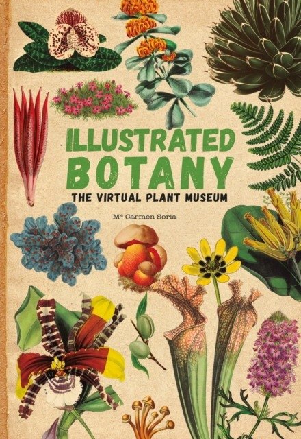 Иллюстрированная ботаника: Виртуальный музей растений | Illustrated Botany: The Virtual Plant Museum