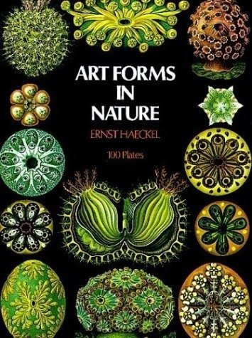 Art Forms in Nature | Art Forms in Nature