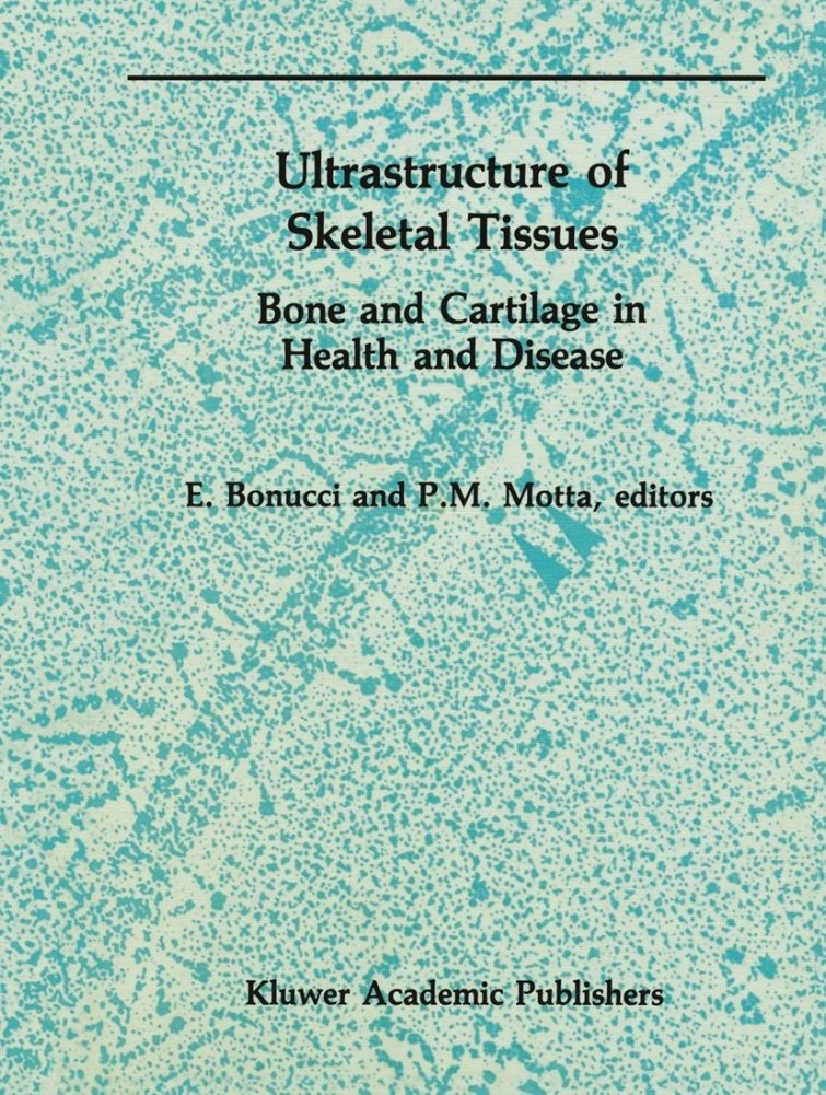 Ultrastructure of Skeletal Tissue | Ultrastructure of Skeletal Tissue