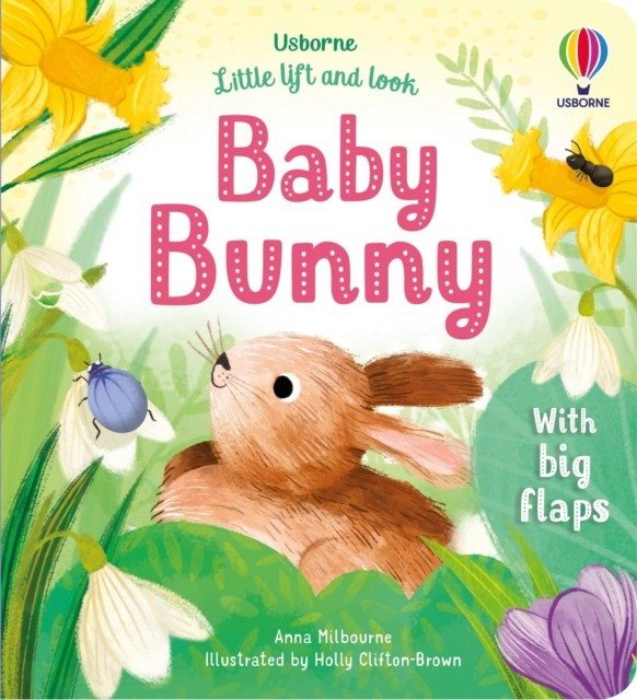 Little Lift and Look Baby Bunny | Little Lift and Look Baby Bunny