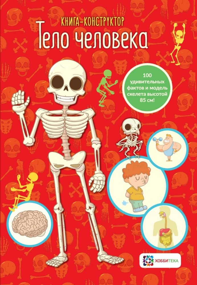 Тело человека. Книга-конструктор | The Human Body: A Constructor Book