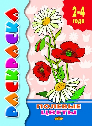 Полевые цветы | Wildflowers