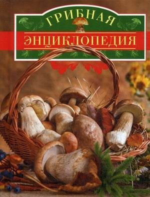 Грибная энциклопедия | Mushroom Encyclopedia