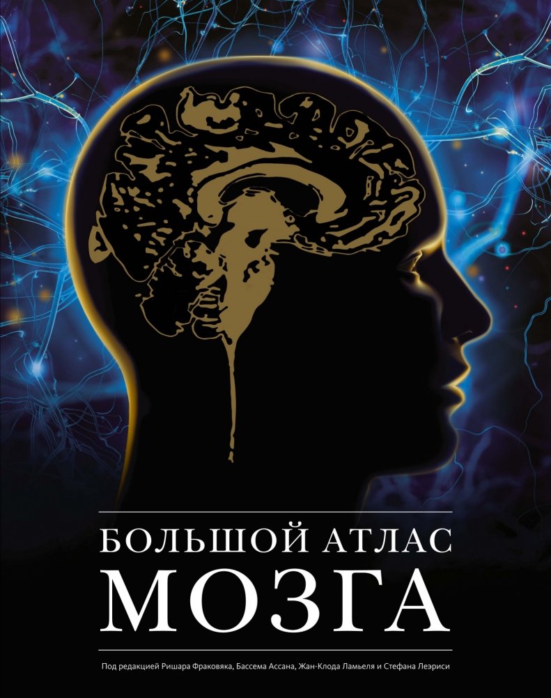 Большой атлас мозга | The Great Brain Atlas
