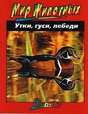 Утки, гуси, лебеди | Ducks, Geese, and Swans
