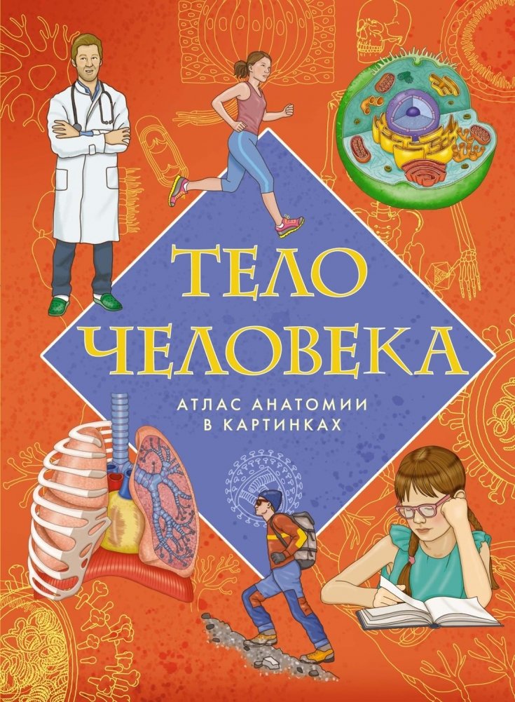 Тело человека. Атлас анатомии в картинках | The Human Body: An Illustrated Atlas of Anatomy