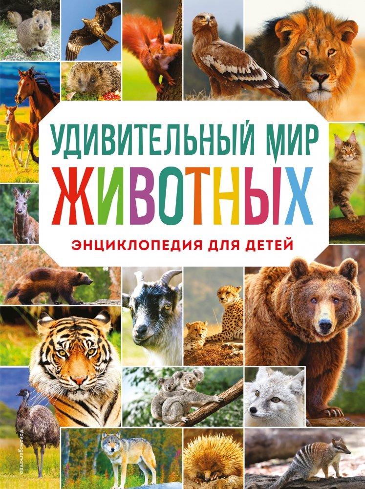 Удивительный мир животных. Энциклопедия для детей | The Amazing World of Animals: An Encyclopedia for Children