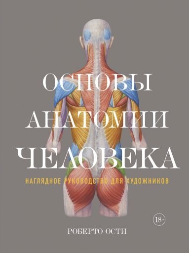 Основы анатомии человека. Наглядное руководство для художников | Human Anatomy Basics: A Visual Guide for Artists