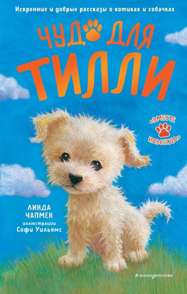 Чудо для Тилли | Tilly's Miracle