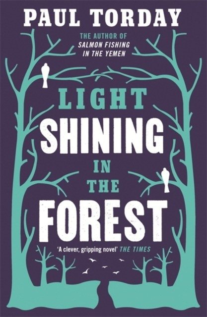 Light Shining in the Forest | Light Shining in the Forest