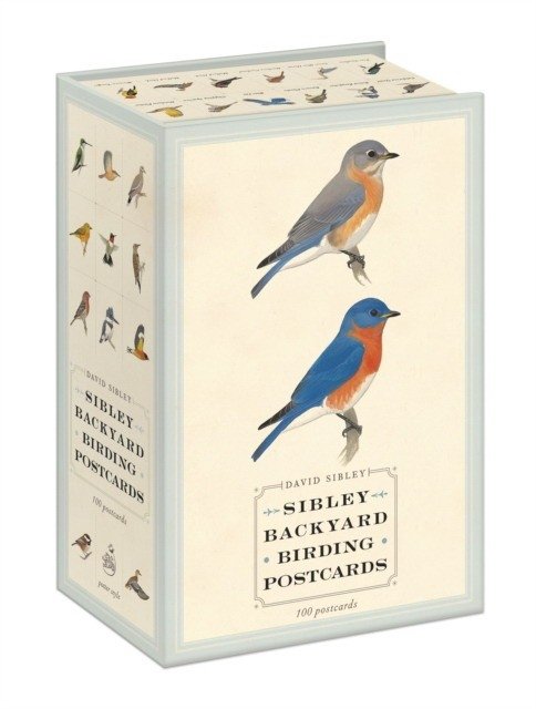Sibley Backyard Birding Postcards | Sibley Backyard Birding Postcards