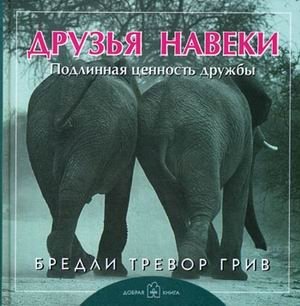 Друзья навеки. Подлинная ценность дружбы