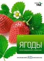Ягоды | Berries