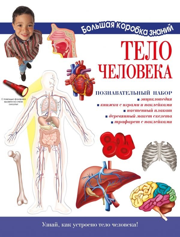 Тело человека. Познавательный набор | The Human Body: An Educational Set