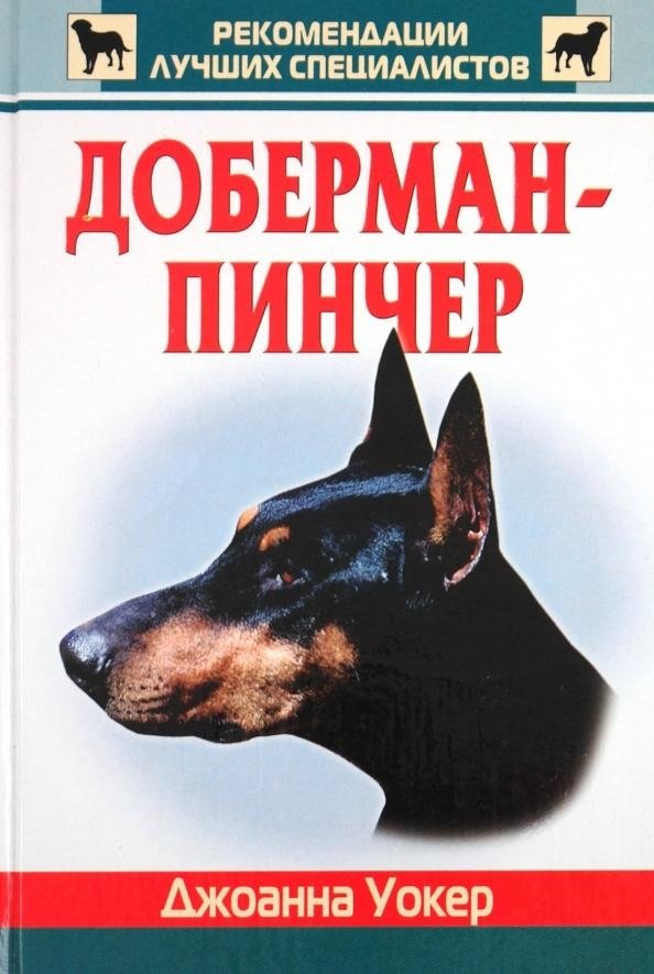 Доберман-пинчер | Doberman Pinscher