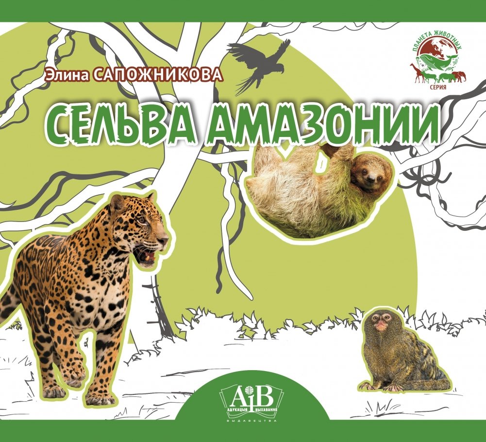 Сельва Амазонии | Amazon Rainforest