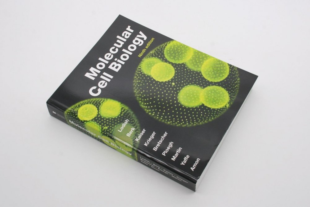 Molecular Cell Biology | Molecular Cell Biology