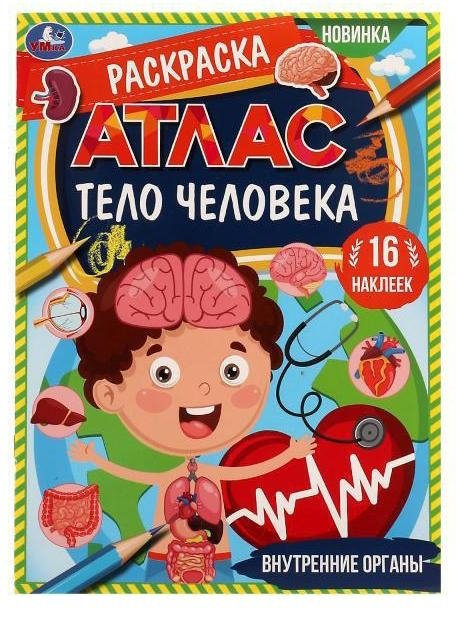 Внутренние органы. Раскраска. Атлас. Тело человека | Human Body: Internal Organs Coloring Atlas