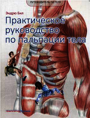 Практическое руководство по пальпации тела. Учебное пособие | Practical Guide to Body Palpation: A Textbook