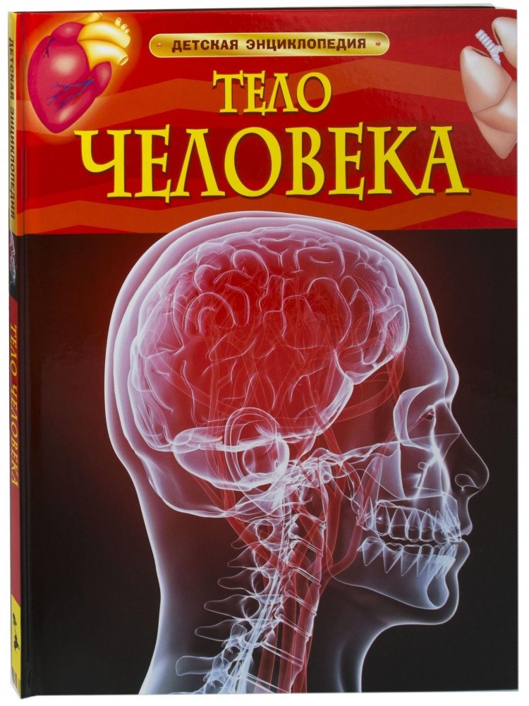 Тело человека | The Human Body