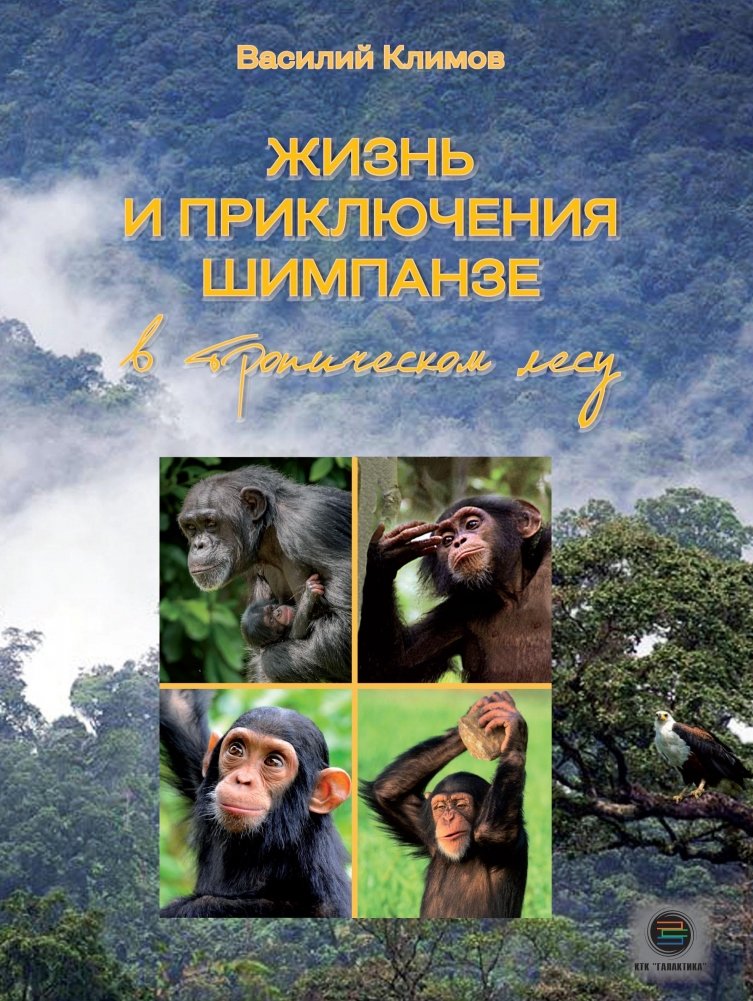 Жизнь и приключения шимпанзе в тропическом лесу | Life and Adventures of a Chimpanzee in a Tropical Forest