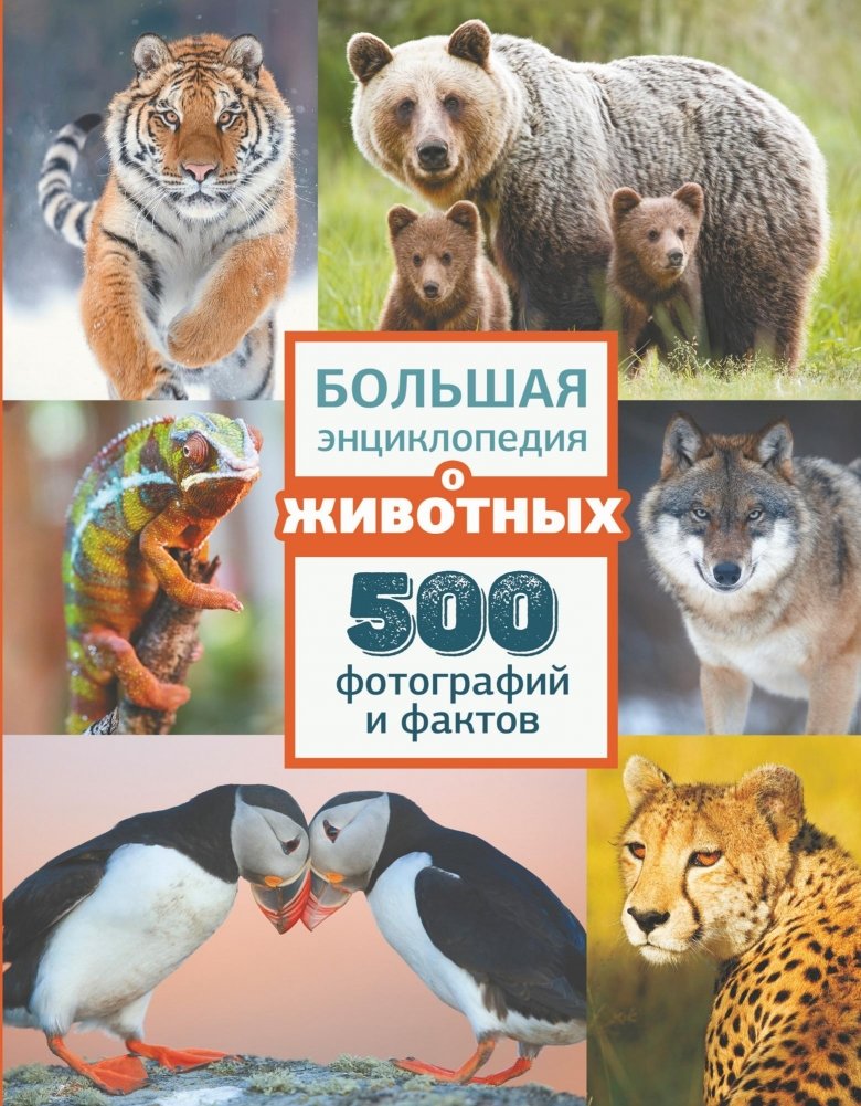 Большая энциклопедия о животных. 500 фотографий и фактов | The Great Animal Encyclopedia: 500 Photos and Facts