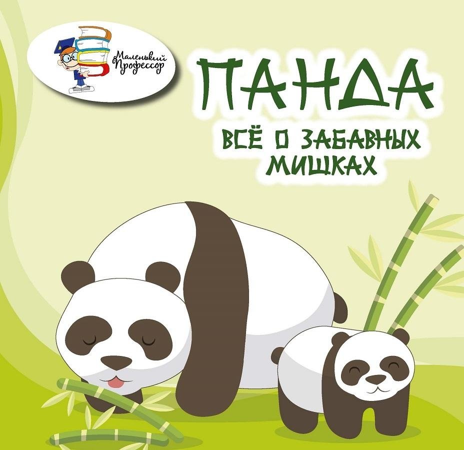 Панда: всё о забавных мишках | Panda: All About the Amusing Bears