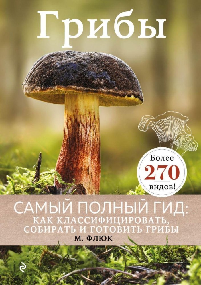 Грибы | Mushrooms