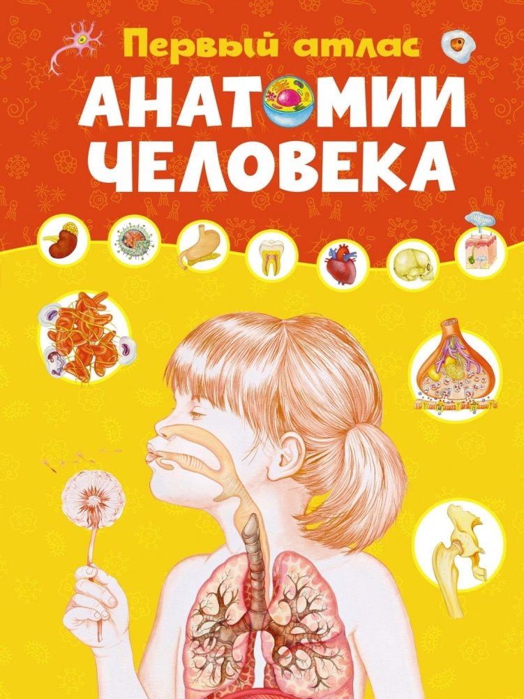 Первый атлас анатомии человека | First Atlas of Human Anatomy