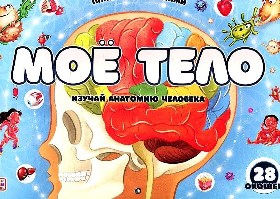 Мое тело. Плакат с окошками | My Body: A Lift-the-Flap Poster