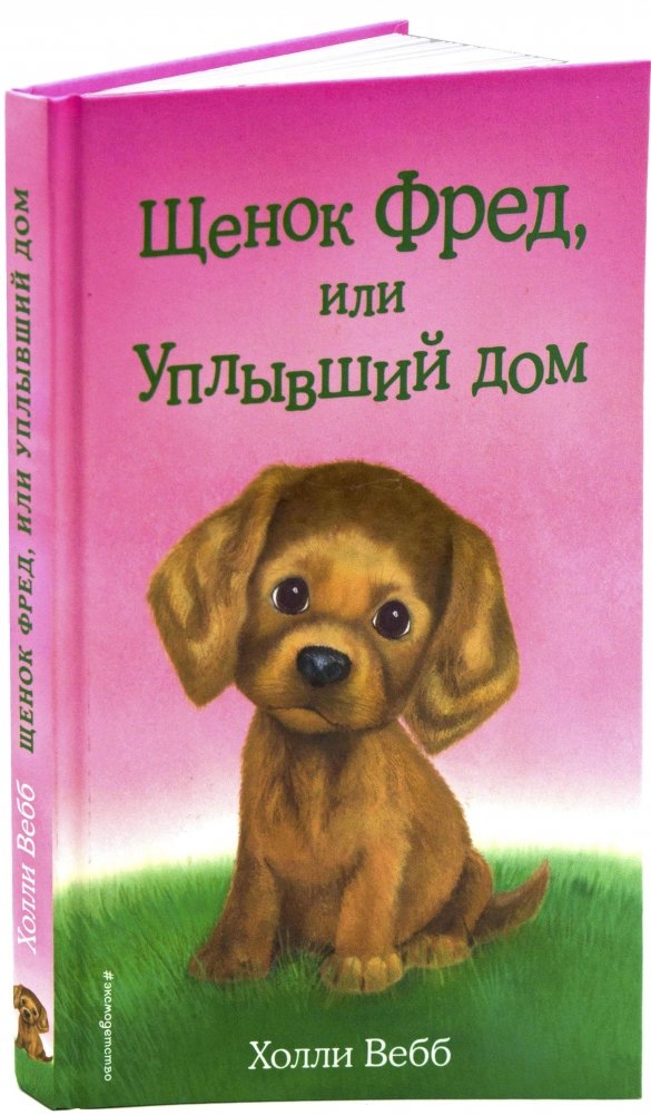 Щенок Фред, или Уплывший дом | Fred the Puppy, or The House That Sailed Away