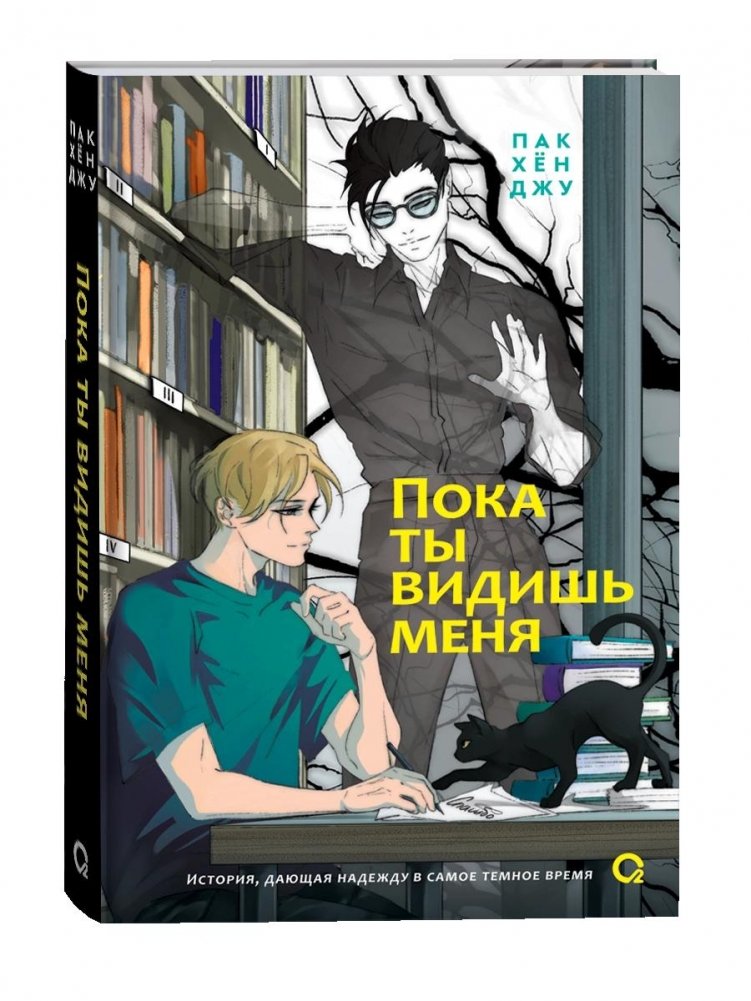 Пока ты видишь меня | While You See Me