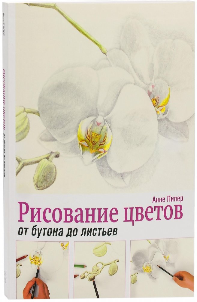Рисование цветов от бутона до листьев. Руководство | Drawing Flowers: From Bud to Leaf Guide