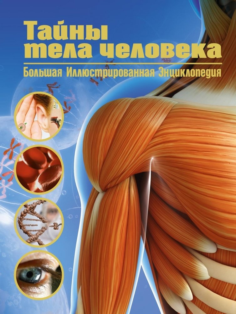 Тайны тела человека. Большая иллюстрированная энциклопедия | Secrets of the Human Body: A Large Illustrated Encyclopedia