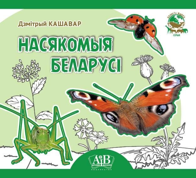 Насякомыя Беларусі | Insects of Belarus