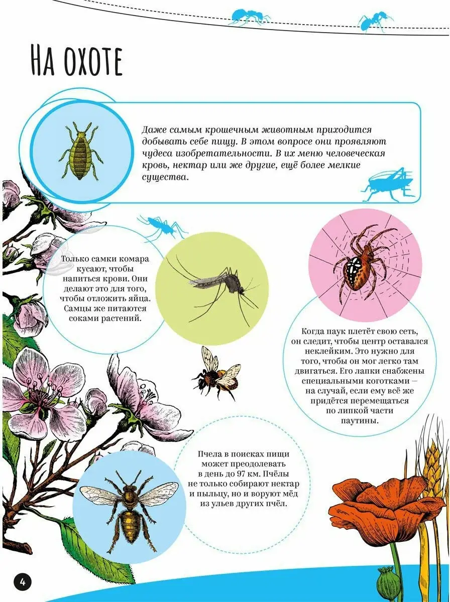 Насекомые фото книги 4