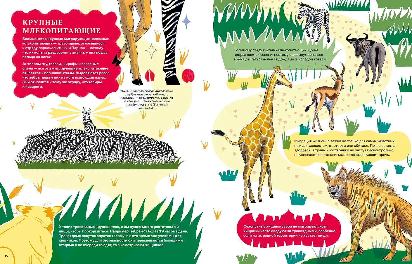 Невероятные странствия животных. Навигация и миграция по воздуху, суше и морю фото книги 3