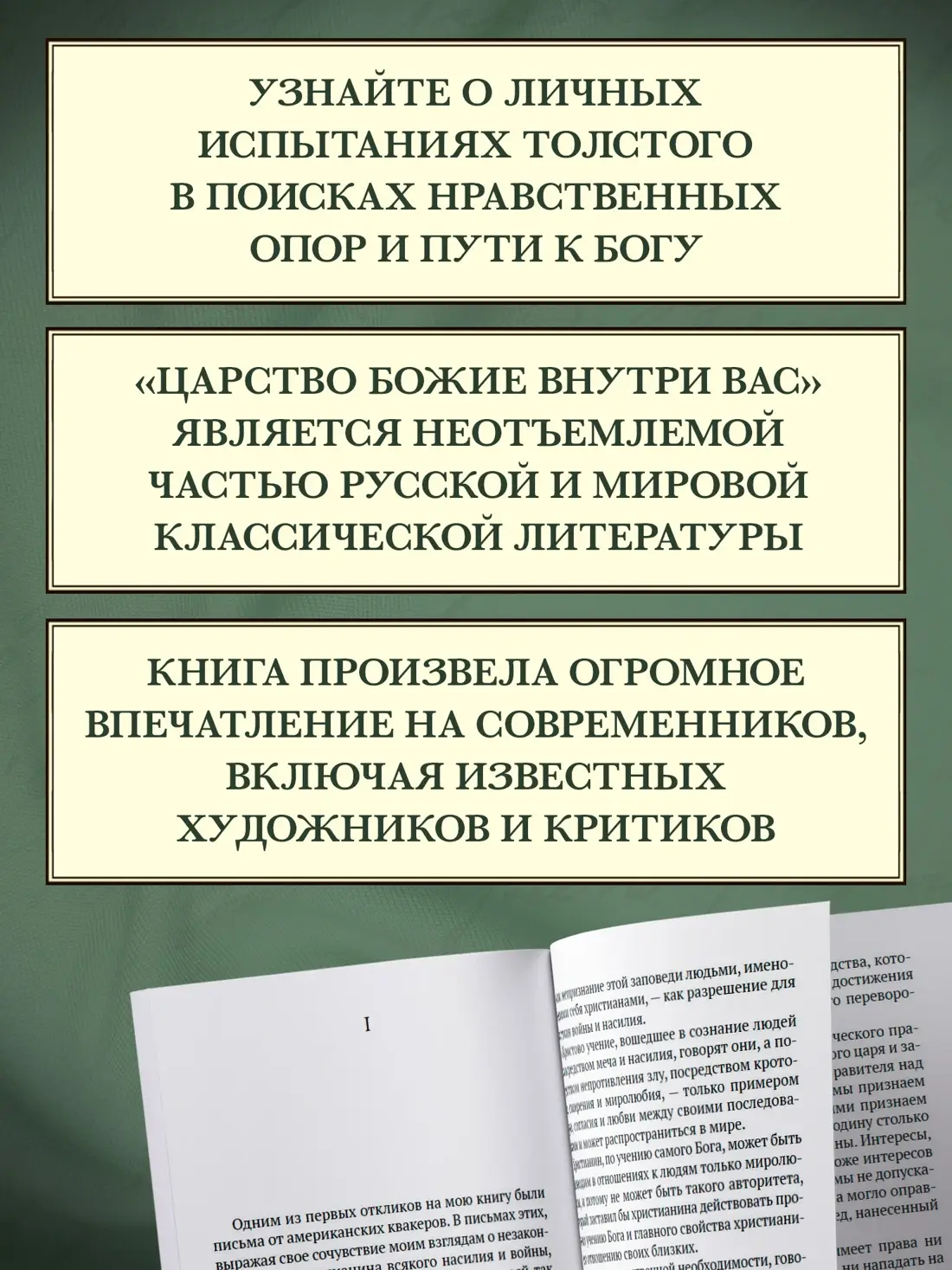 Царство Божие внутри вас фото книги 2