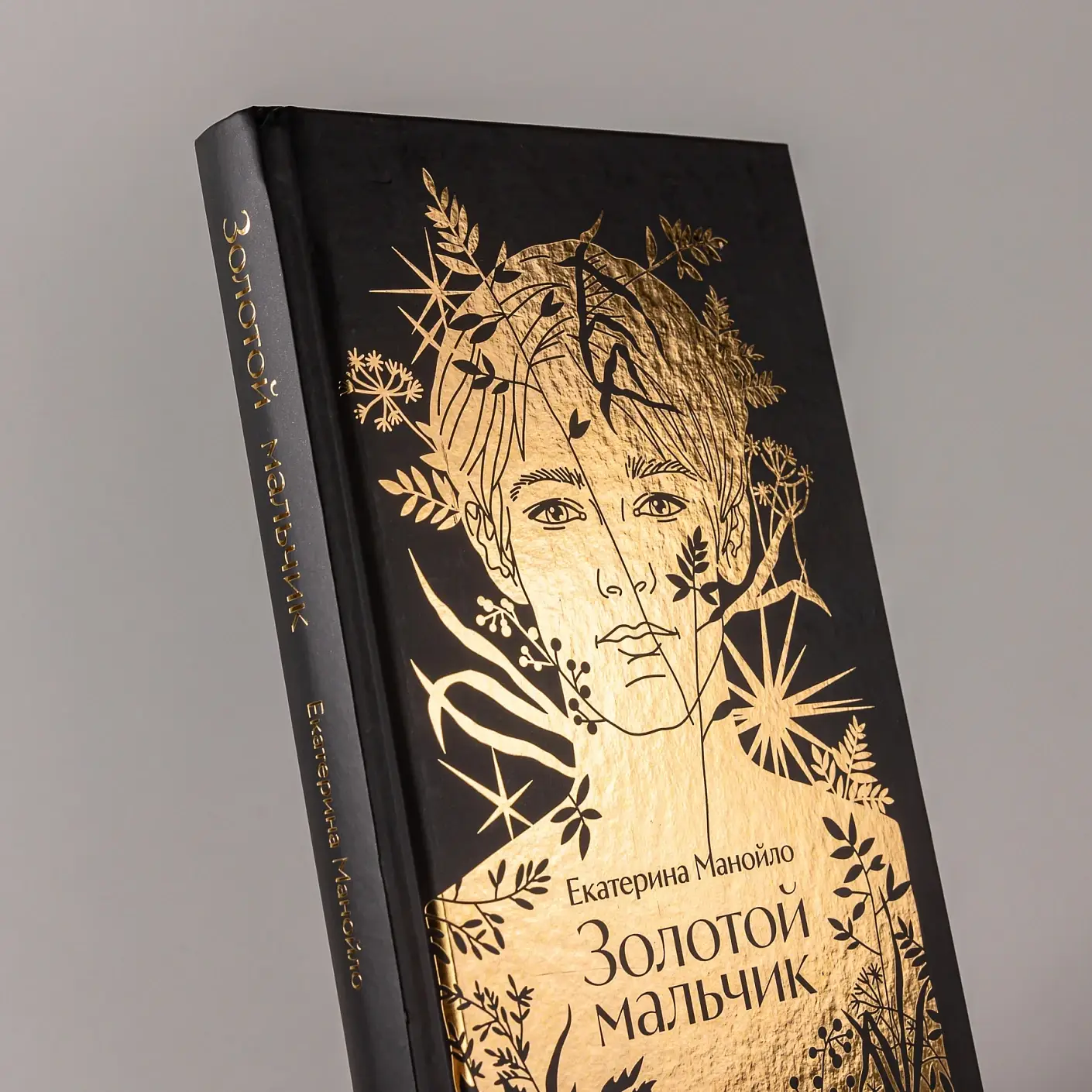 Золотой мальчик фото книги 4