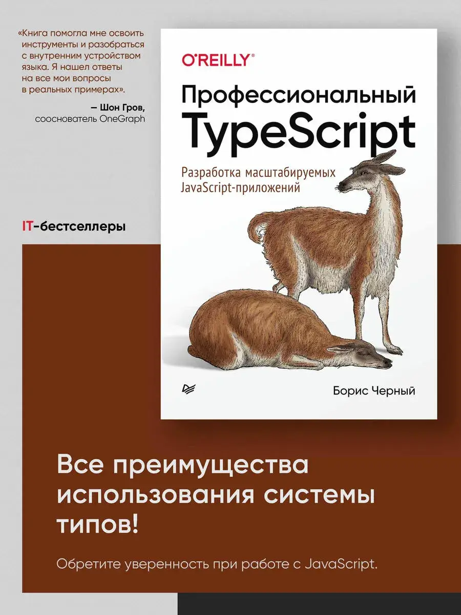 Профессиональный TypeScript. Разработка масштабируемых JavaScript-приложений фото книги 3