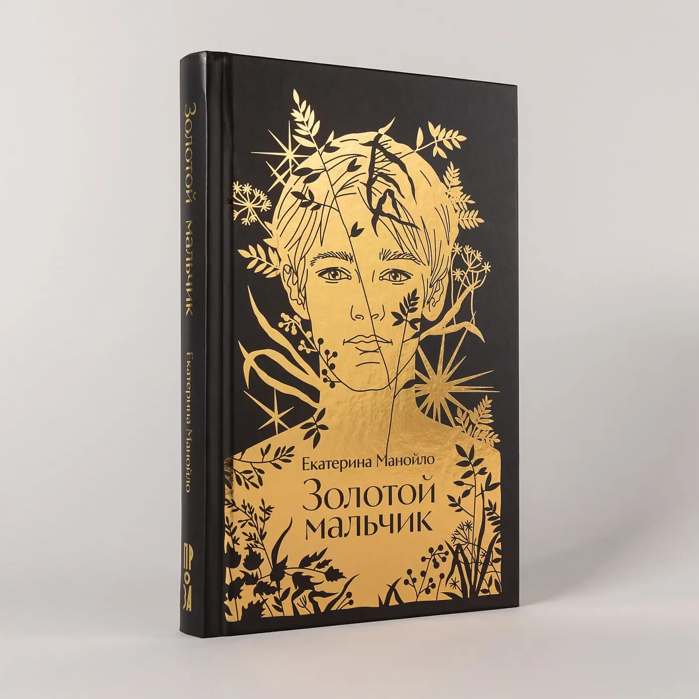 Золотой мальчик фото книги 2