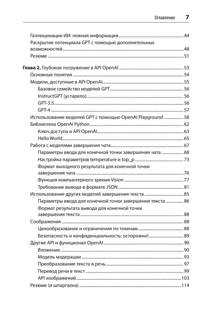 Разработка приложений на базе GPT-4 и ChatGPT фото книги 3