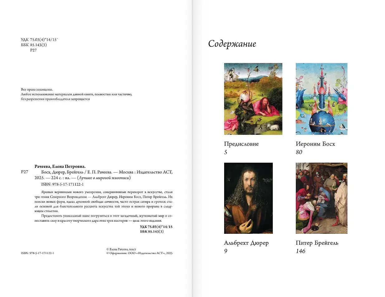 Босх, Дюрер, Брейгель фото книги 3