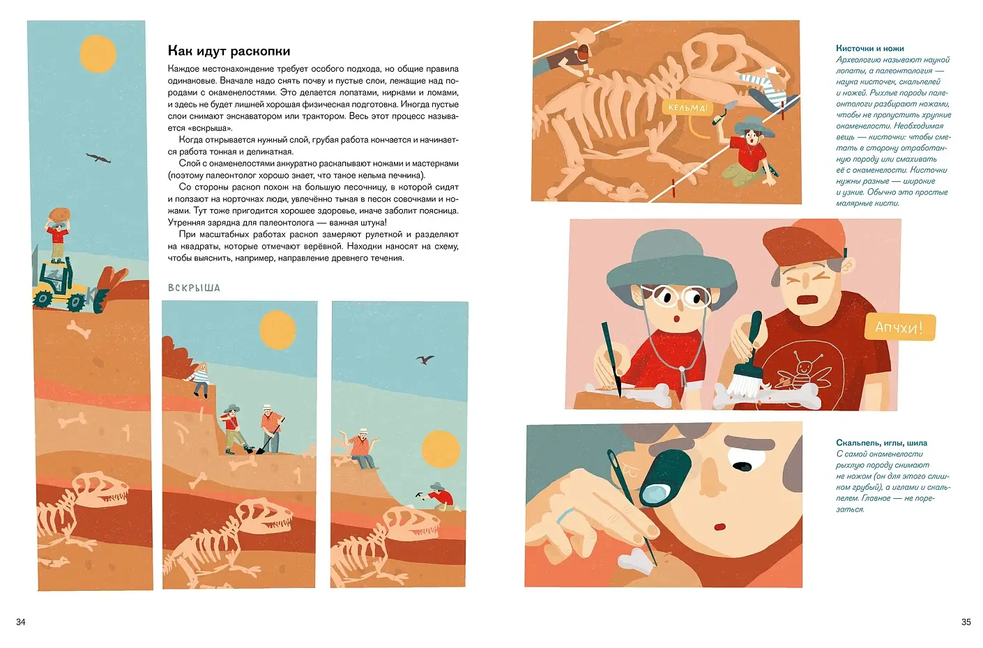 Профессия 一 палеонтолог. От камня до динозавра фото книги 4