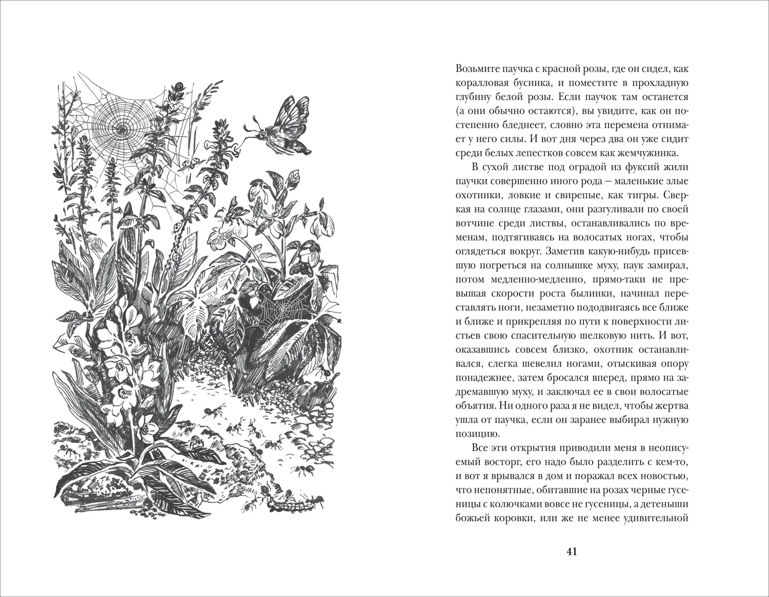 Моя семья и другие звери фото книги 3