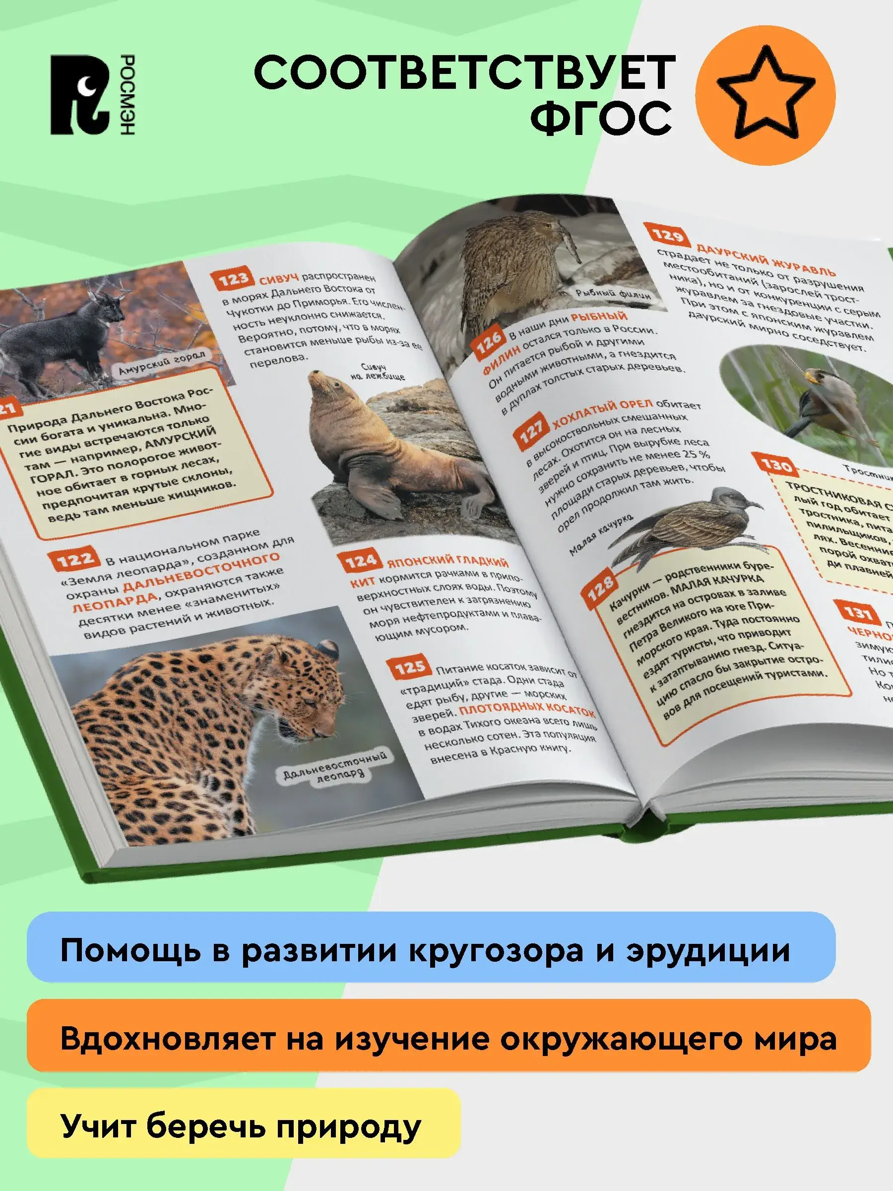 Красная книга России. Энциклопедия российского школьника фото книги 4