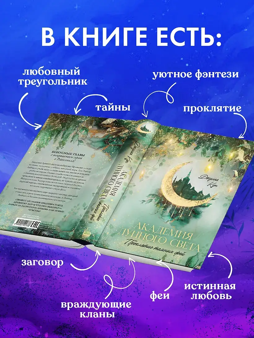 Академия лунного света. Проклятие темных фей фото книги 4