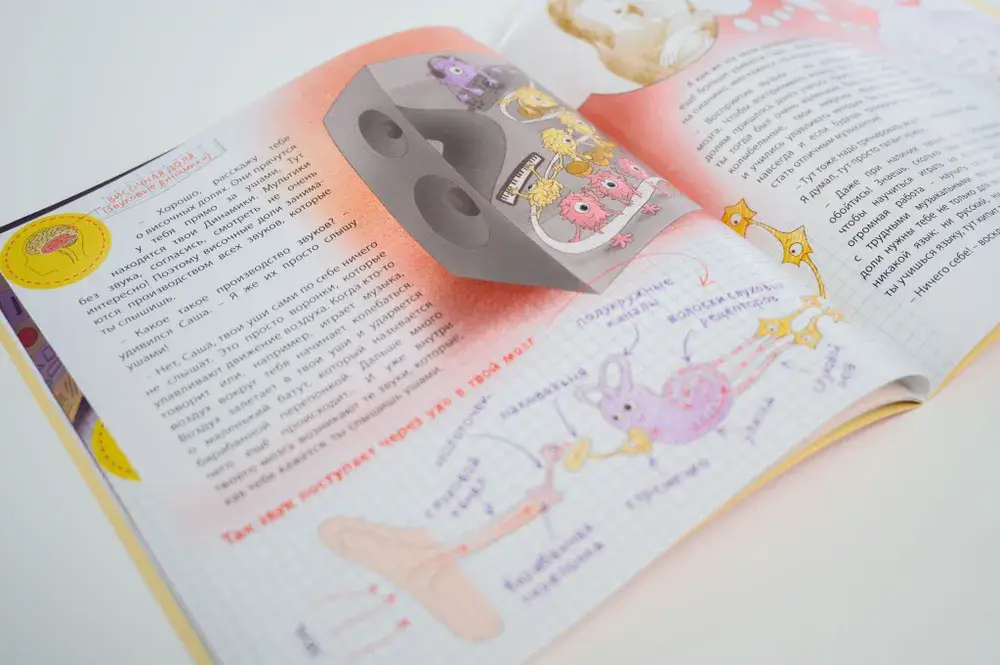 Как устроен мозг? Книга о том, зачем учиться фото книги 2